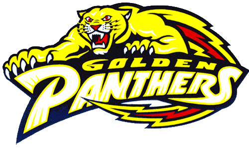 FIU Panthers 1994-2000 Primary Logo diy DTF decal sticker